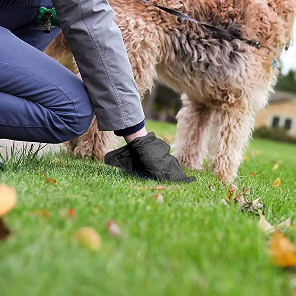 Sacchetti Magici per Cani